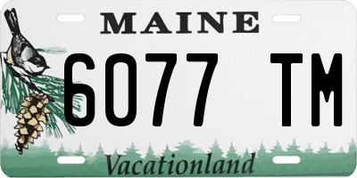 ME license plate 6077TM