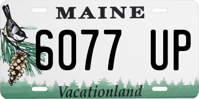 ME license plate 6077UP