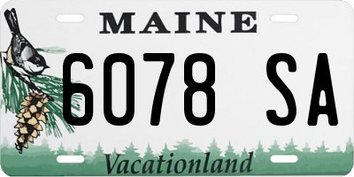 ME license plate 6078SA