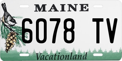 ME license plate 6078TV