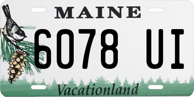 ME license plate 6078UI