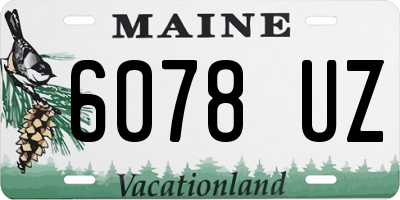ME license plate 6078UZ