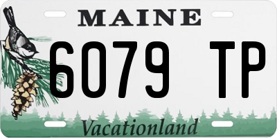 ME license plate 6079TP