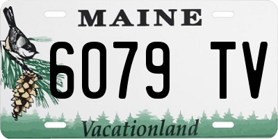 ME license plate 6079TV