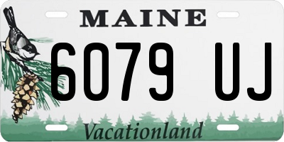 ME license plate 6079UJ