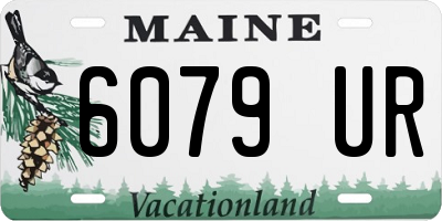 ME license plate 6079UR