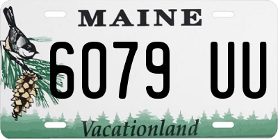 ME license plate 6079UU