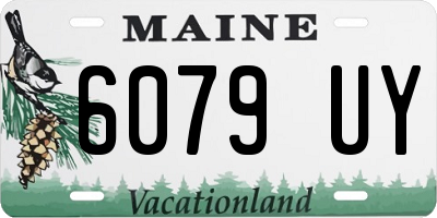 ME license plate 6079UY