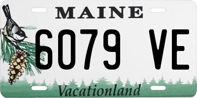ME license plate 6079VE