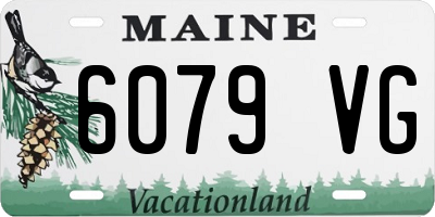 ME license plate 6079VG