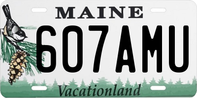 ME license plate 607AMU