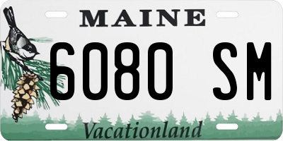 ME license plate 6080SM