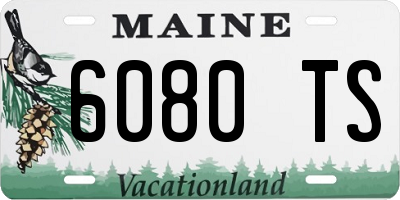 ME license plate 6080TS