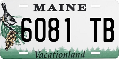 ME license plate 6081TB