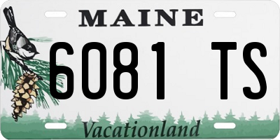 ME license plate 6081TS