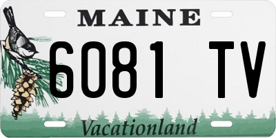 ME license plate 6081TV