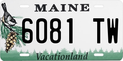 ME license plate 6081TW