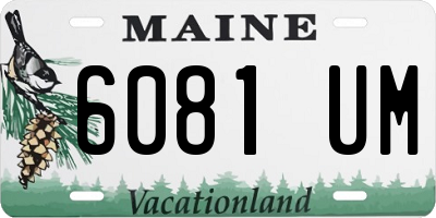 ME license plate 6081UM