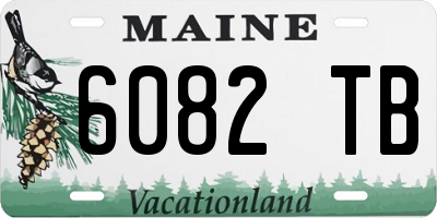 ME license plate 6082TB