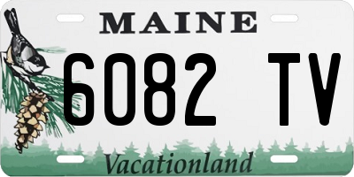 ME license plate 6082TV