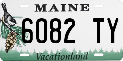 ME license plate 6082TY