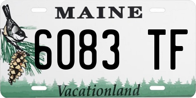 ME license plate 6083TF