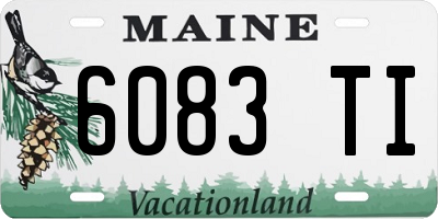 ME license plate 6083TI
