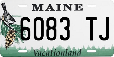 ME license plate 6083TJ