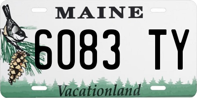 ME license plate 6083TY
