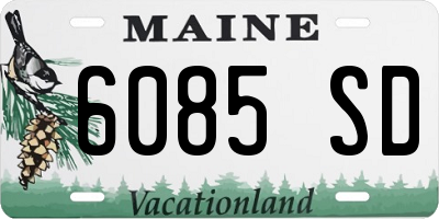 ME license plate 6085SD