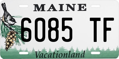 ME license plate 6085TF