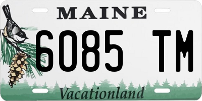 ME license plate 6085TM