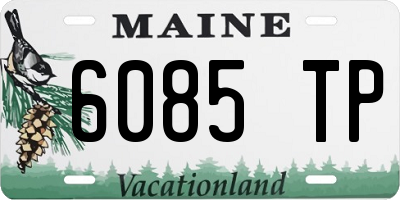 ME license plate 6085TP