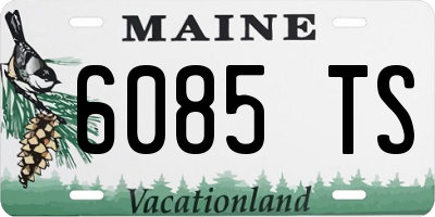 ME license plate 6085TS