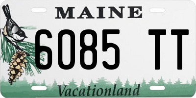 ME license plate 6085TT