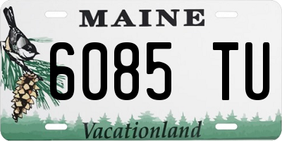 ME license plate 6085TU