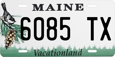 ME license plate 6085TX