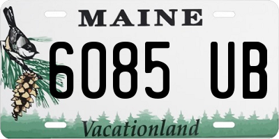 ME license plate 6085UB