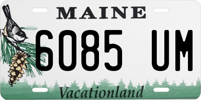 ME license plate 6085UM