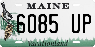 ME license plate 6085UP