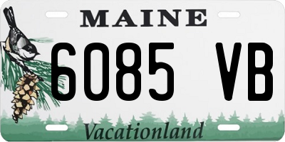 ME license plate 6085VB
