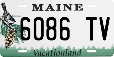 ME license plate 6086TV