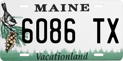 ME license plate 6086TX
