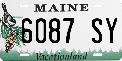 ME license plate 6087SY