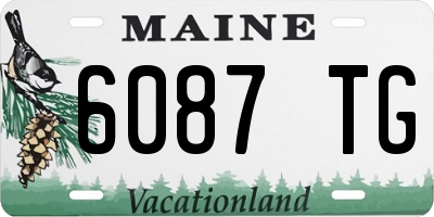 ME license plate 6087TG