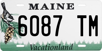 ME license plate 6087TM