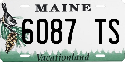 ME license plate 6087TS