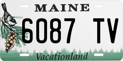 ME license plate 6087TV