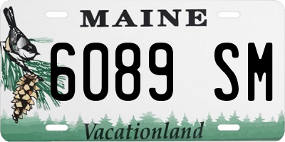ME license plate 6089SM