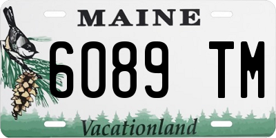 ME license plate 6089TM